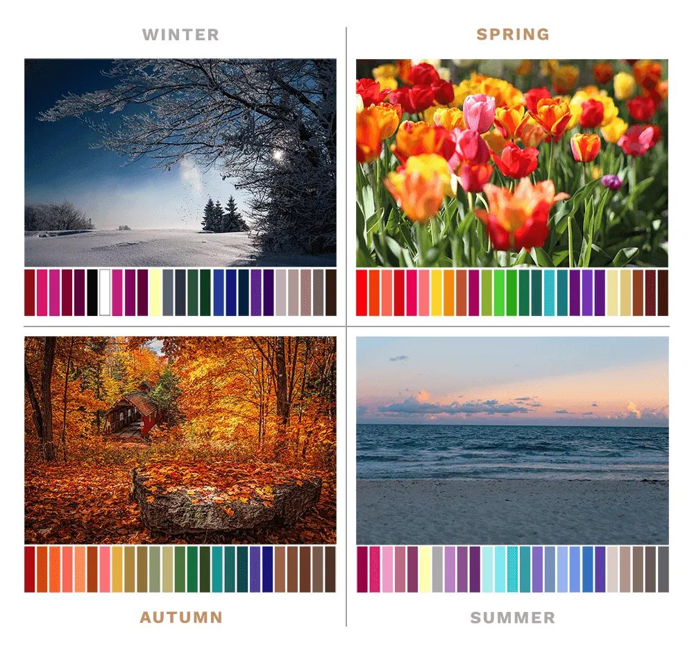 Four seasonal images: Winter snow, Spring tulips, Autumn leaves, Summer beach. Each with a colour palette below. Seasons labelled above.